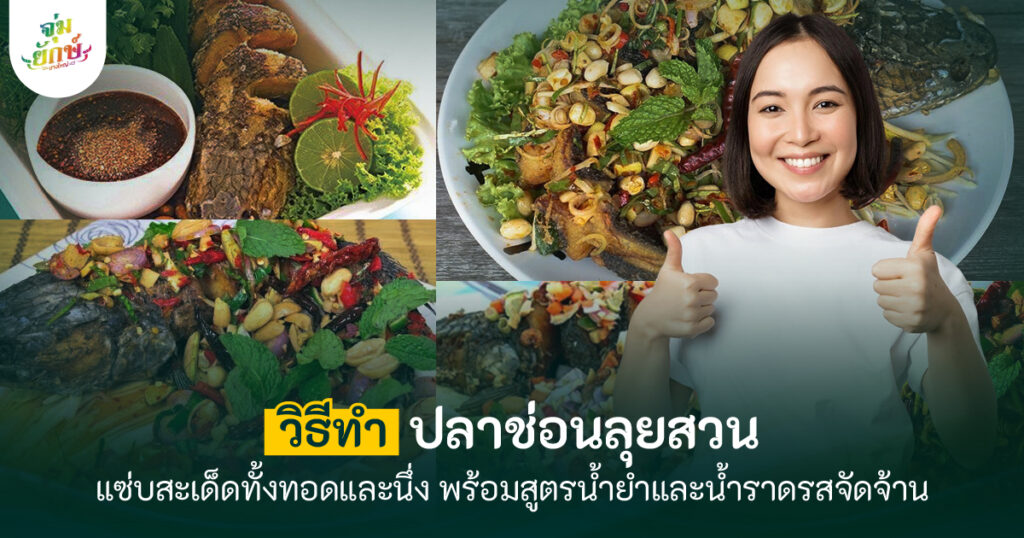 ปลาช่อนลุยสวน จุ่มยักษ์บางใหญ่