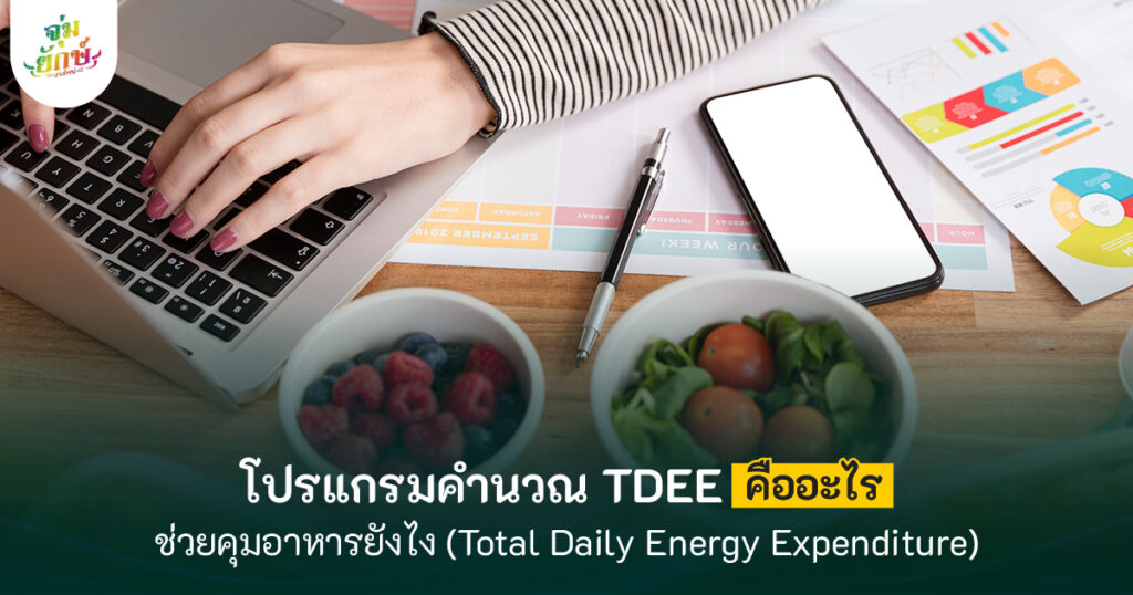 โปรแกรมคํานวณ TDEE
