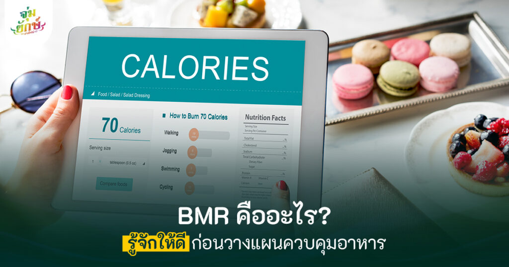 BMR คือ