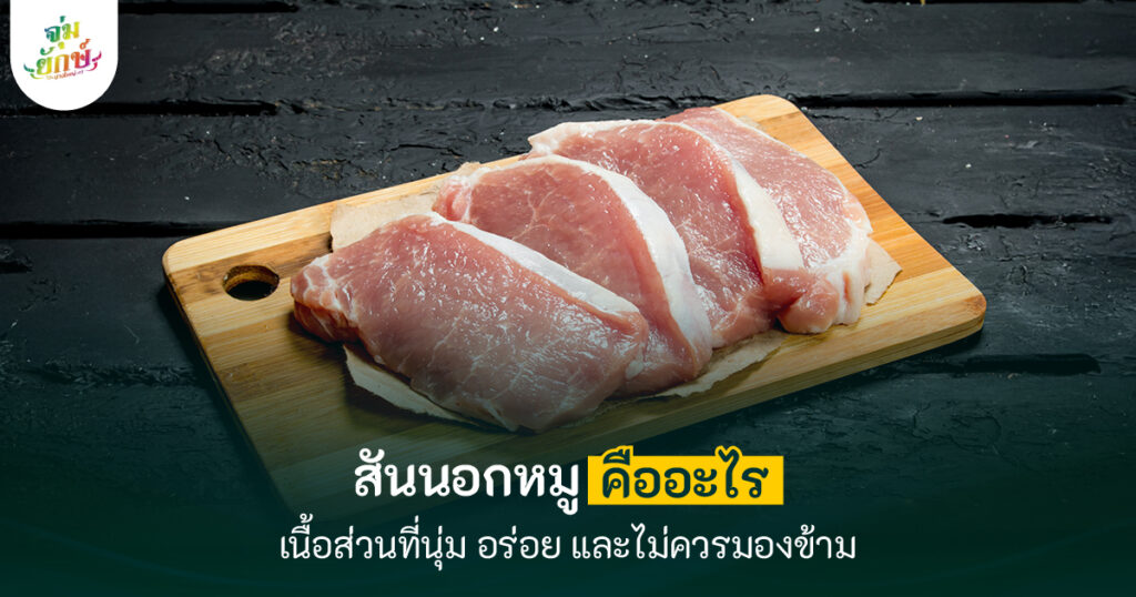 สันนอกหมู คืออะไร
